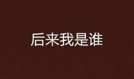 我是谁在线观看,一场关于自我认知的在线探索之旅